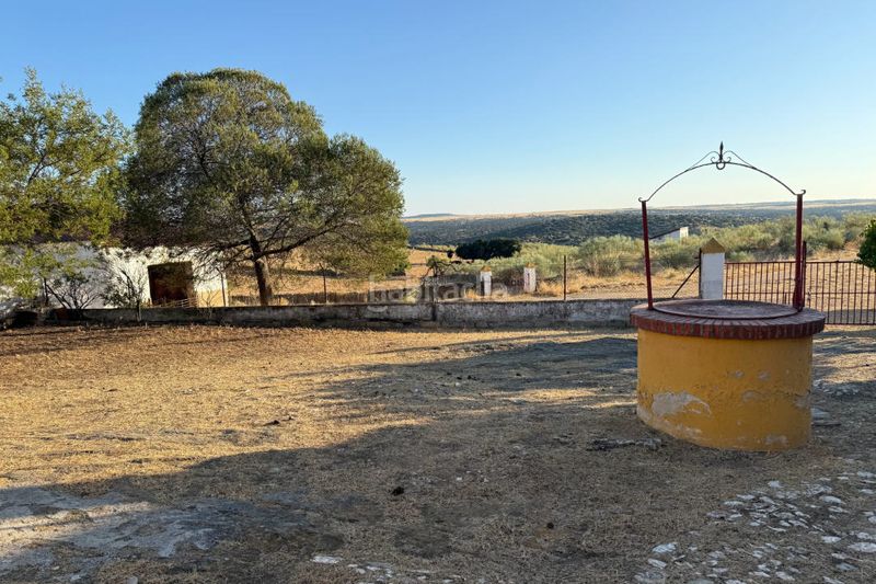 Foto 6ddc3532-bc5a-41d9-9d20-83cc9a1d847c. Finca rústica a Casco Antiguo Cáceres