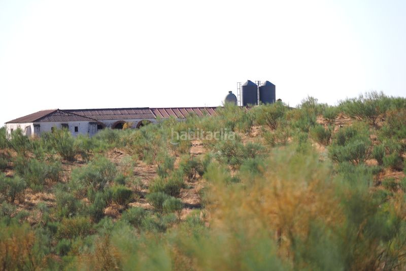 Foto 82275b0e-a88f-403e-8cc2-8a557f8c7d4c. Finca rústica a Casco Antiguo Cáceres