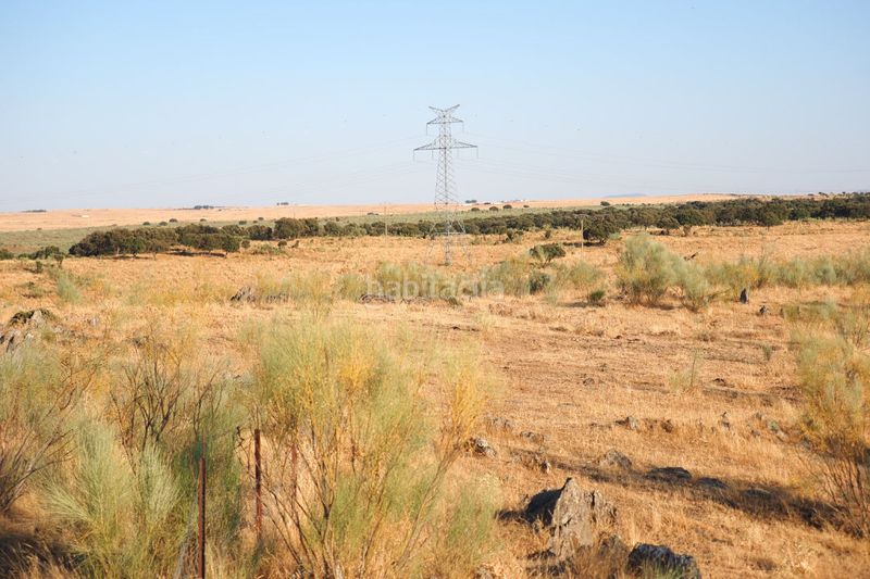 Foto b383eb3e-fb79-4deb-a170-12885052c59f. Finca rústica a Casco Antiguo Cáceres