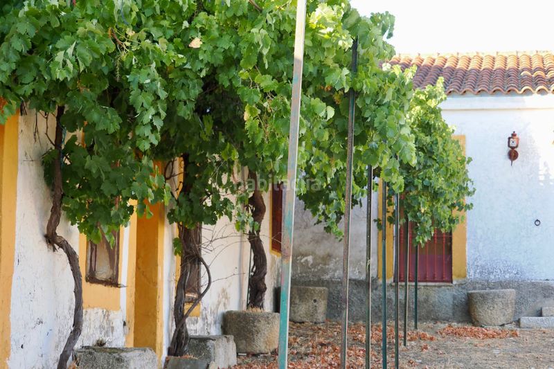 Foto bad840f6-5daa-48b6-8004-a58f1c67e30a. Finca rústica a Casco Antiguo Cáceres