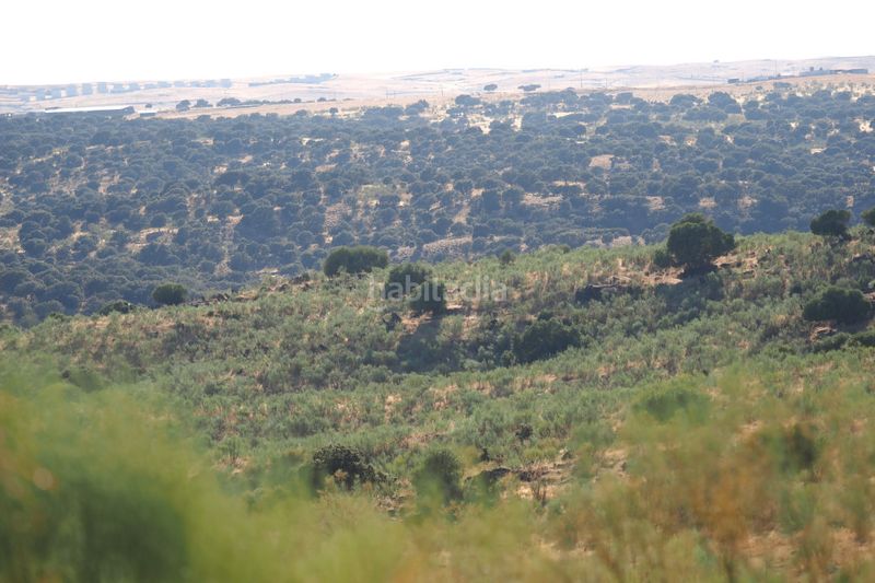 Foto d0323bad-9192-4c88-93f6-07022eaa6269. Finca rústica a Casco Antiguo Cáceres