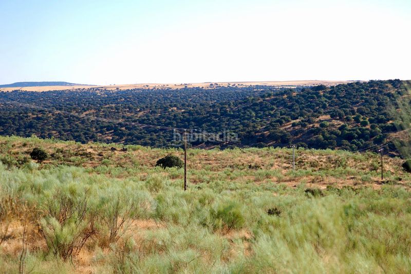 Foto d5f09a67-a1e9-4e6e-b466-19ab53c055cb. Finca rústica a Casco Antiguo Cáceres