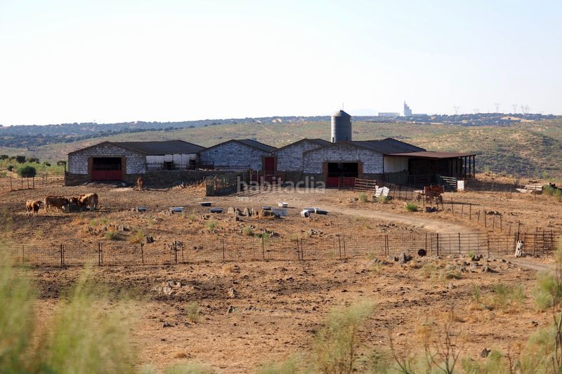 Foto d6955605-6f68-4fbd-9744-fabd83eb28a4. Finca rústica a Casco Antiguo Cáceres