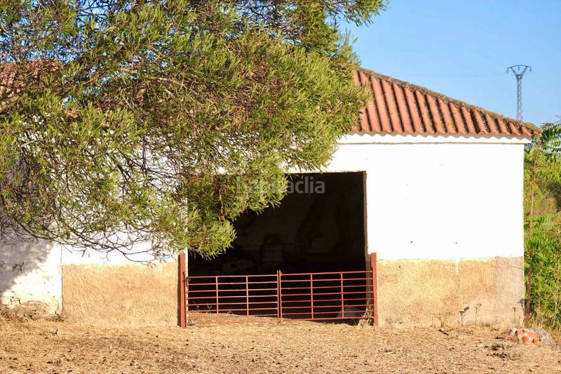 Foto e672a646-bc2d-4ff1-a7f4-6fa2d550f56f. Finca rústica a Casco Antiguo Cáceres