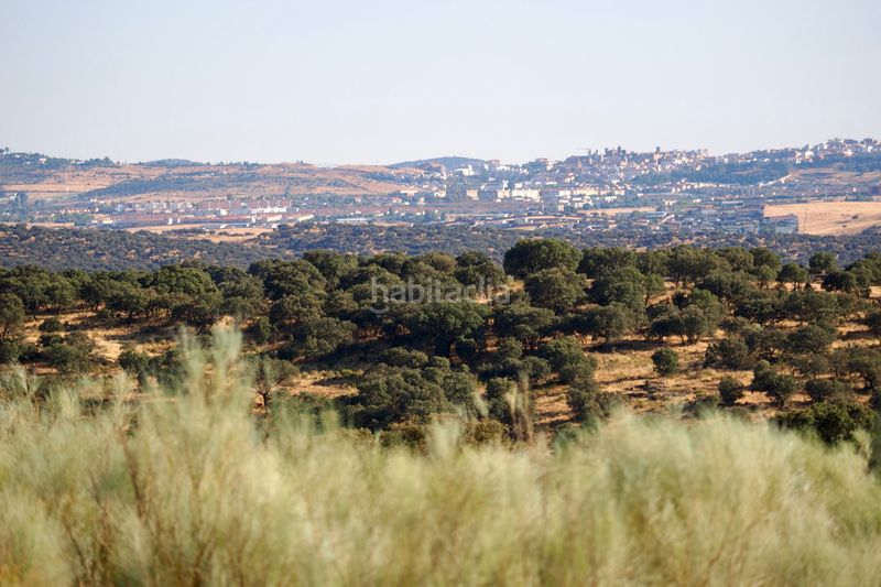 Foto f72b3431-a046-4d99-868c-4dde406bea62. Finca rústica a Casco Antiguo Cáceres