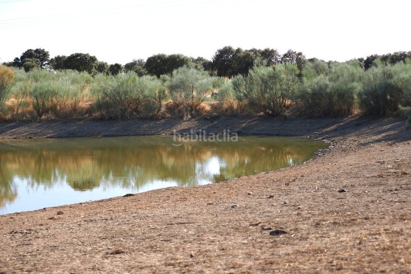 Foto fef391c7-9acb-4983-a275-6834ee992aaa. Finca rústica a Casco Antiguo Cáceres