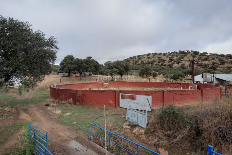 Foto 3d50e29f-aad7-4139-b8fd-779cbb28cdc6. Finca rústica a Centro Córdoba