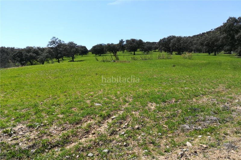 Foto 577ef097-aa7c-4990-83d9-05e9694bfdea. Finca rústica a Centro Córdoba