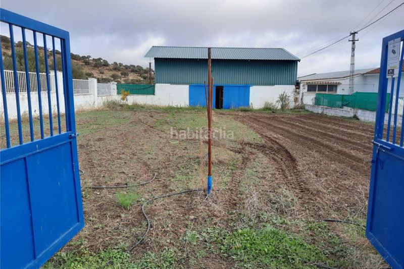 Foto a26abdf8-5ba8-42d9-9dc5-34256ae676d8. Finca rústica a Centro Córdoba