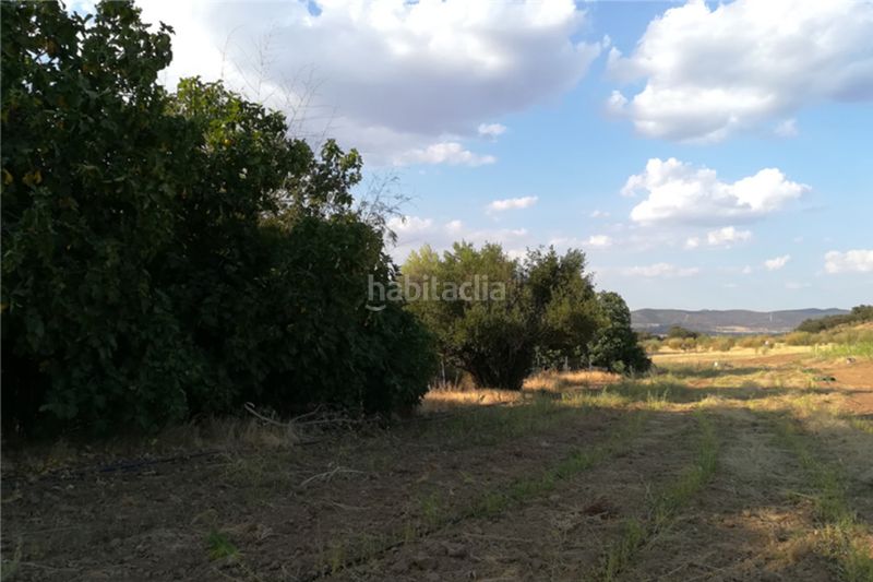 Foto b5aa0964-4697-40f9-9d1f-e42d5c6b956b. Finca rústica a Centro Córdoba