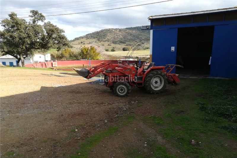 Foto bdb2f536-0531-41df-a6dc-33b63fef88c6. Finca rústica a Centro Córdoba