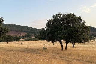 Landgut en Casco Antiguo. Finca con buen acceso en venta.
