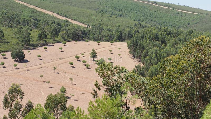 Foto 0295b88b-a661-4719-933f-09d199253995. Finca rústica a Casco Antiguo Cáceres