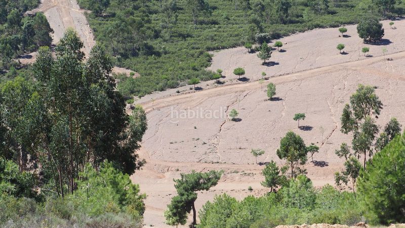 Foto 52315b2a-4c5c-491a-a179-b25bd8460222. Finca rústica a Casco Antiguo Cáceres