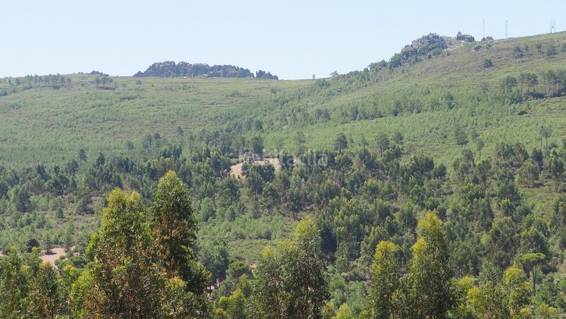 Foto 58af5043-819b-482c-86cd-f960e0a727a8. Finca rústica a Casco Antiguo Cáceres