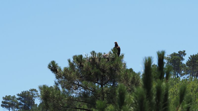 Foto 64b37f2d-7499-45c0-9804-c6511377df89. Finca rústica a Casco Antiguo Cáceres