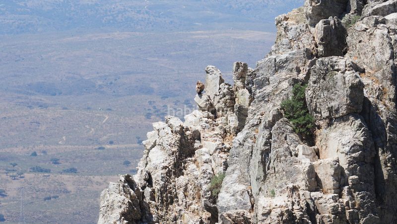 Foto 90e70f78-e8e3-4c38-88f8-462f2b65f831. Finca rústica a Casco Antiguo Cáceres