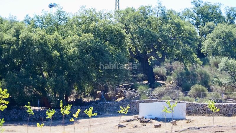 Foto 05b3cc29-a6b7-4aed-955b-154ca5c67ba5. Finca rústica a Casco Antiguo Cáceres