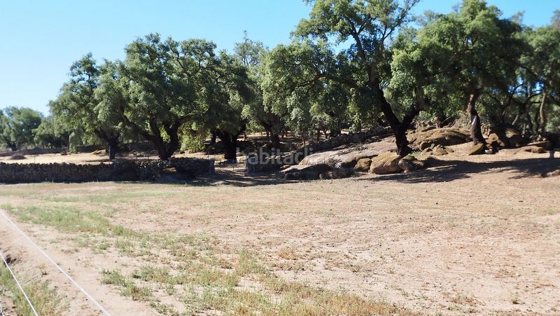 Foto 6f956374-6555-4751-b858-2ed2c76125af. Finca rústica a Casco Antiguo Cáceres