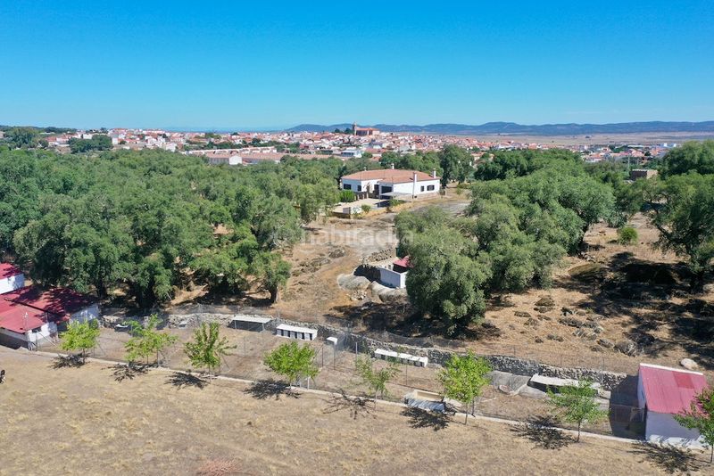 Foto da62aa67-b55f-49fd-99d2-fd871cf4d4b7. Finca rústica a Casco Antiguo Cáceres