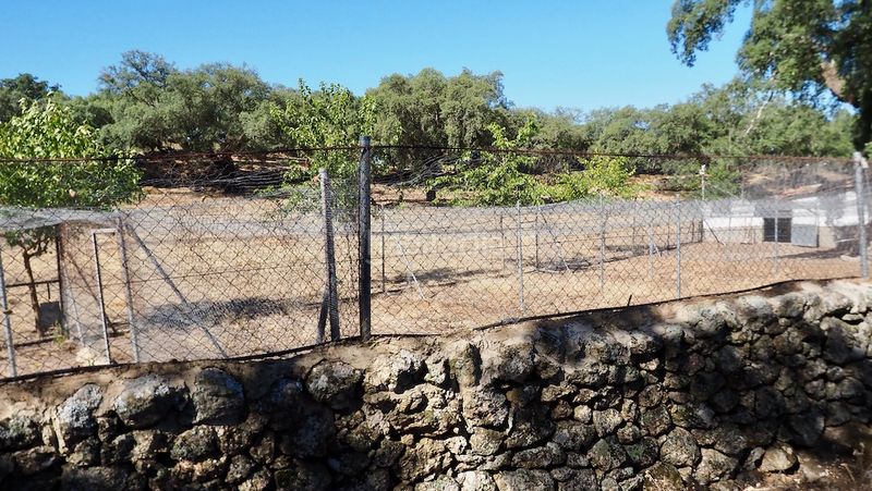 Foto db4e2a35-5d43-40c6-b511-42a1b8f8b013. Finca rústica a Casco Antiguo Cáceres