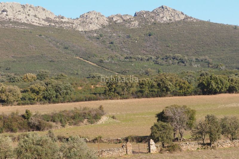 Foto e164e402-6fa4-49a8-8b11-eee6259e7855. Finca rústica a Puerto de Béjar