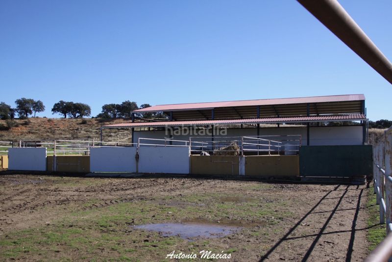 Foto 5e3b554c-8d60-4519-9862-900acaca44af. Fondo rustico in Trujillo
