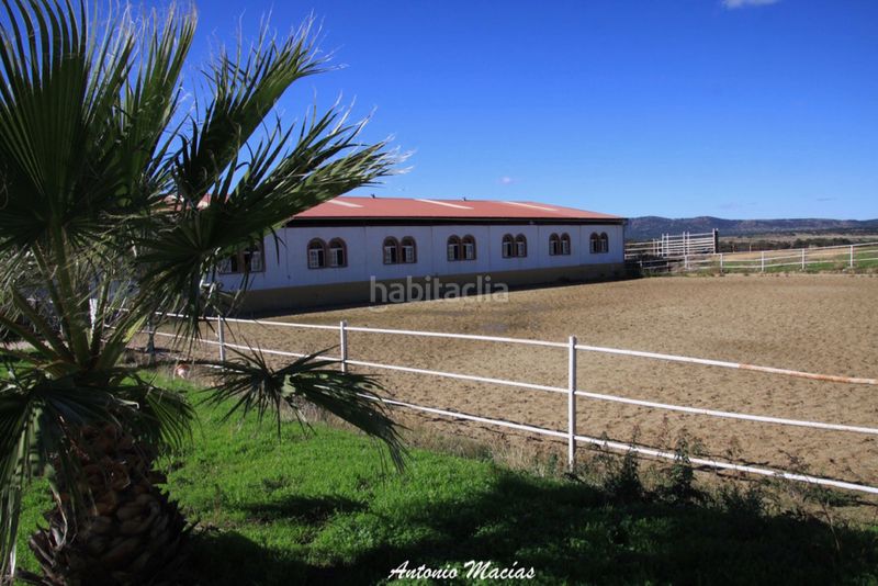 Foto f81a4415-d1f9-401a-9568-36999808f8e8. Fondo rustico in Trujillo