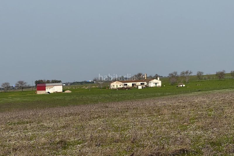 Foto 000da173-d982-4bfe-b698-e2c676d15fb4. Finca rústica a Casco Antiguo Cáceres
