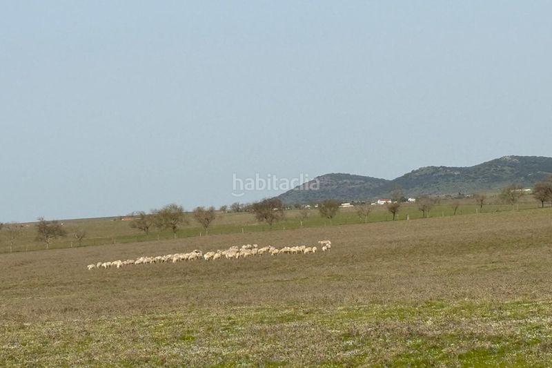 Foto 2e47e545-0ebd-4b0e-8a83-31b9431b618a. Finca rústica a Casco Antiguo Cáceres