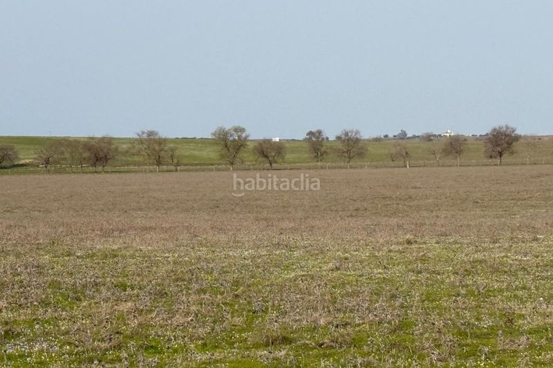 Foto 3caeff96-246f-4311-a260-8a7fc58e86b0. Finca rústica a Casco Antiguo Cáceres