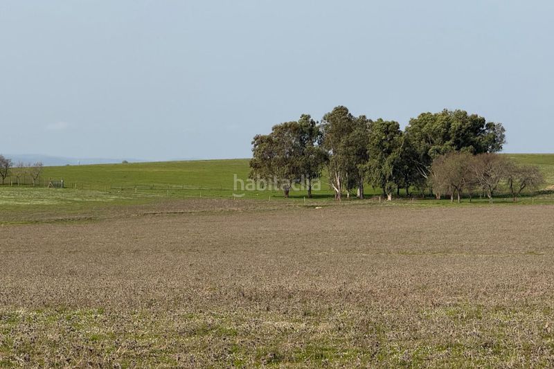 Foto 514fb5d4-9030-4d41-8fdf-e322dd050a30. Finca rústica a Casco Antiguo Cáceres