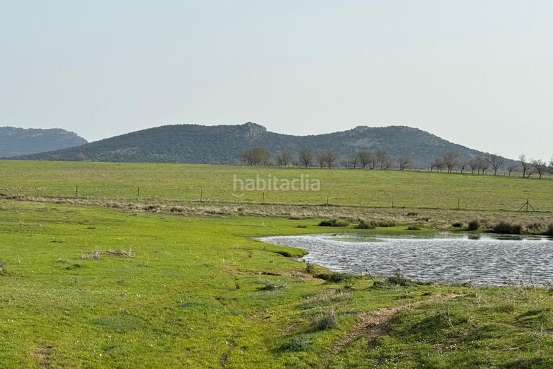 Foto 5ea52d67-f71e-42b9-bd6c-4f81c0e530f7. Finca rústica a Casco Antiguo Cáceres