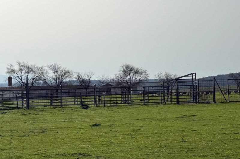 Foto 831fe8aa-a844-4895-9f09-671754ba9a72. Finca rústica a Casco Antiguo Cáceres