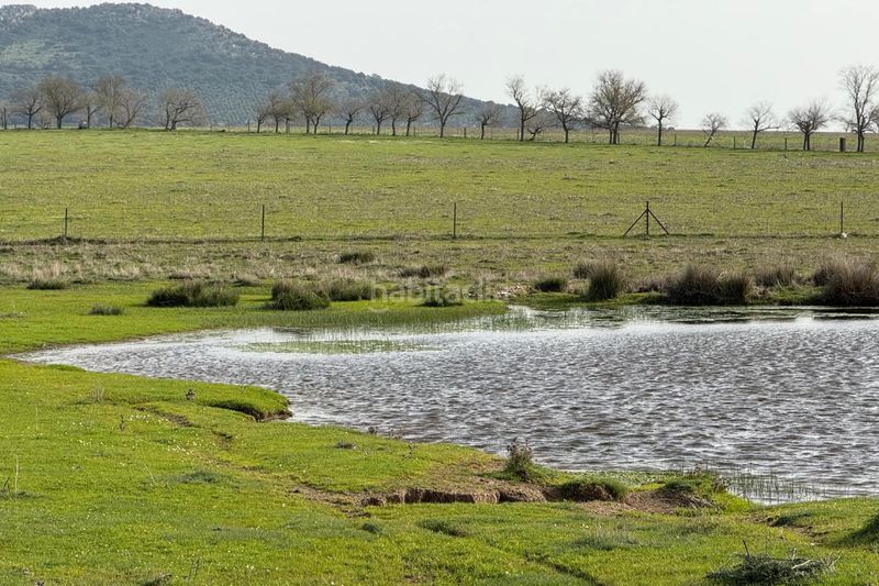 Foto 9f99abcb-36df-4766-9980-cbdd5e9a9dfd. Finca rústica a Casco Antiguo Cáceres