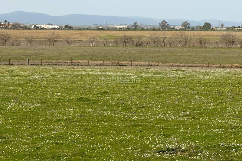 Foto b55fa73e-24d9-498c-a350-c3555d88b9f1. Finca rústica a Casco Antiguo Cáceres