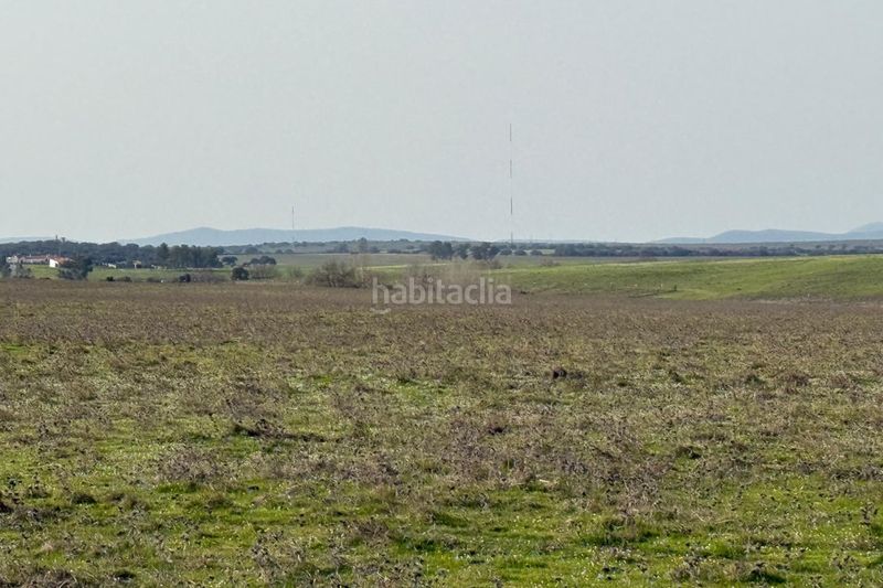 Foto c7118cf0-72ca-4ae4-bc66-04b576255b45. Finca rústica a Casco Antiguo Cáceres