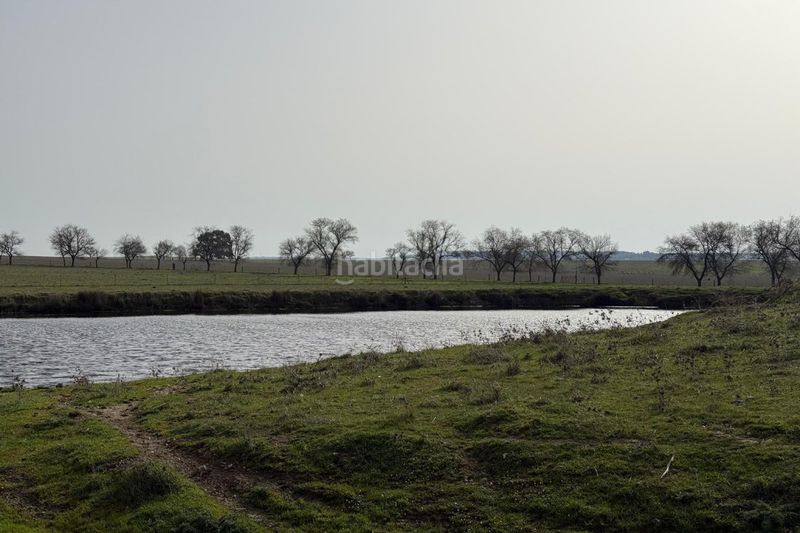 Foto d268d24f-ed93-41ba-b5e9-f450e7e0cdf2. Finca rústica a Casco Antiguo Cáceres