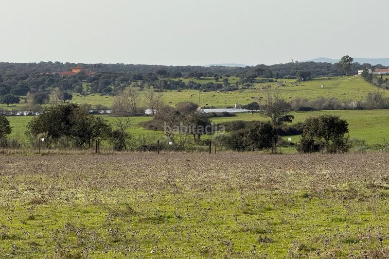 Foto f80e9182-959e-4936-8783-63357376cff8. Finca rústica a Casco Antiguo Cáceres
