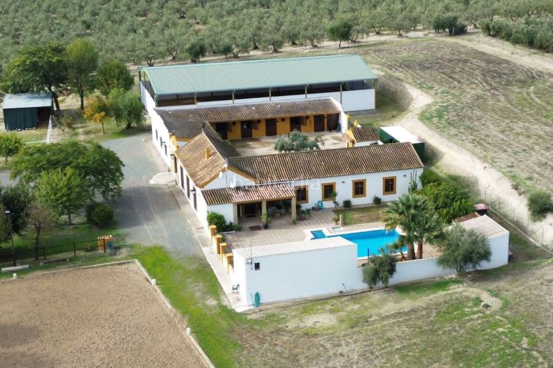 Foto 4edd6b49-ebe1-4bf1-bf75-ef0c8723b8ae. Finca rústica a La Calzada - La Florida Sevilla