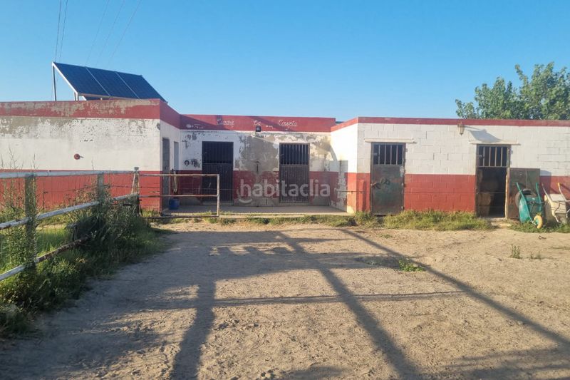 Foto 0c2d78a6-088c-4e99-806e-7b4f60877102. Finca rústica finca ecuestre cerca de cadiz en Asdrúbal - Bahía Blanca Cádiz