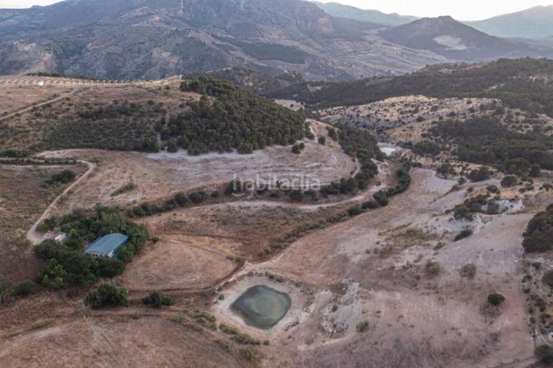 Foto 536903cd-d0cb-487b-b2fc-be582ac250c9. Finca rústica a Avda de Madrid - Pº de la Estación Jaén