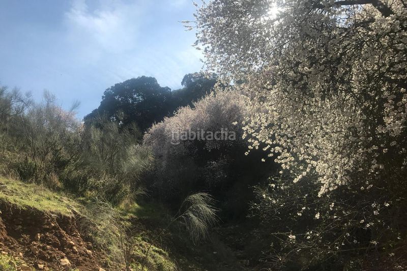 Foto 7d0382e5-793d-47c7-9c6e-4e110b5d9934. Finca rústica a Avda de Madrid - Pº de la Estación Jaén