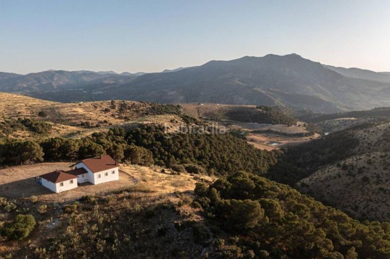 Foto 81d31592-fd6c-4c57-a440-e2e79a04b293. Finca rústica a Avda de Madrid - Pº de la Estación Jaén