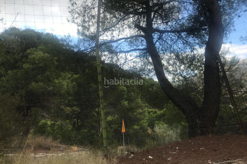 Foto e8b6a866-bd25-46b0-8aad-7fac62cea82a. Finca rústica a Avda de Madrid - Pº de la Estación Jaén