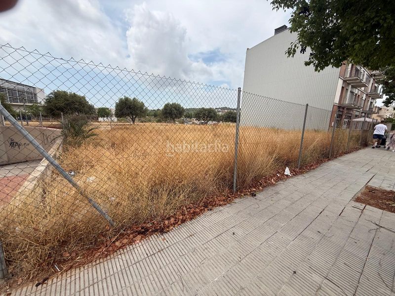 Foto 15659eef-3f5e-4a3d-990f-90b620b27aeb. Finca rústica a El Tancat-Mas d´en Gual Vendrell (El)