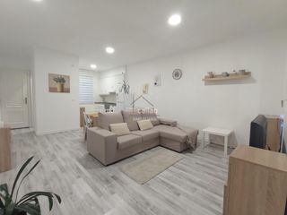Rent Apartment in Centro