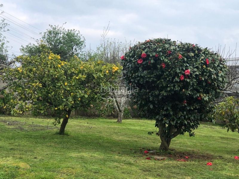Foto 0539d9c5-8821-4d0c-b03a-c06c7348aa96. Casa amb calefacció aparcament a A Malata - Catabois - Ciudad Jardín Ferrol