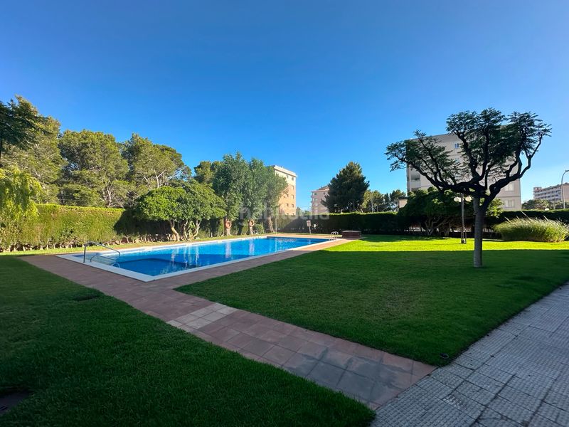 Foto 68fa2868-c1e6-40da-9133-e11a26e49577. Àtic amb piscina a Passeig Marítim Miami Platja