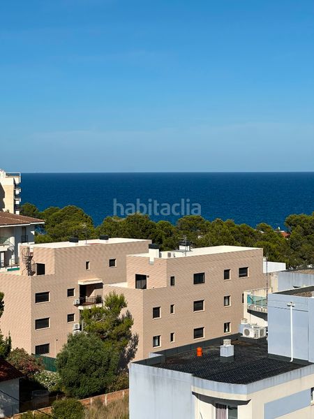 Foto 769d1f71-6055-49cd-91b2-7d73262a77e2. Àtic amb piscina a Passeig Marítim Miami Platja